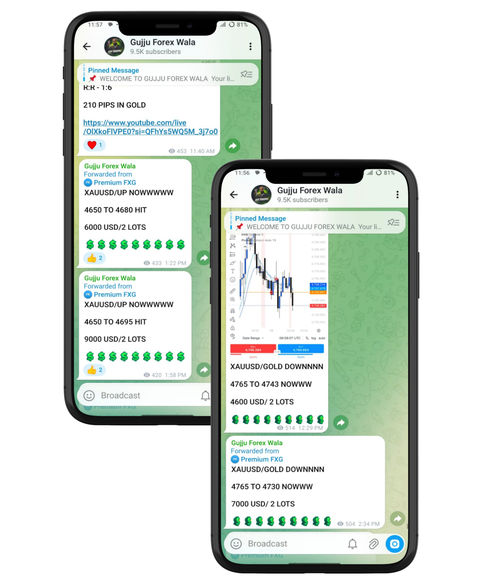 Gujju Forex Royal Trading